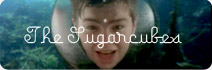 Les clips des Sugarcubes