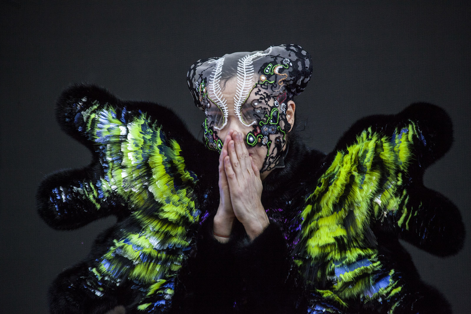 Björk Concert Governors Ball festival 2015